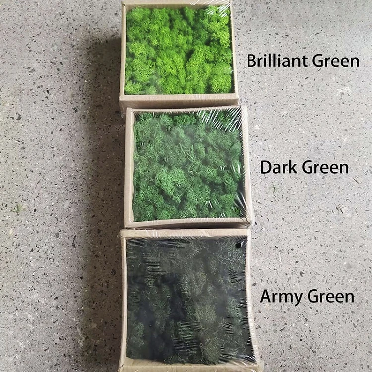 Preserved Reindeer Moss